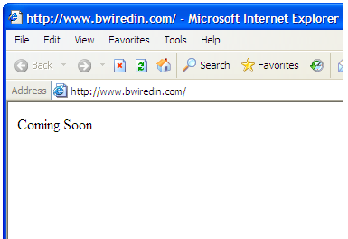 Bwiredin Web site screen shot