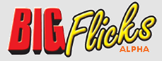 big-flicks-logo.png