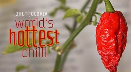 Indian Bhut Jolokia