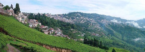 darjeeling | Top 10 Tourist Destinations in India