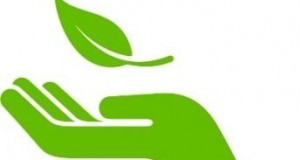 Finance Friday: Green Investments for a Green Future