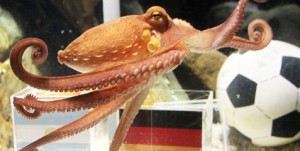 Paul the Octopus is dead &ndash; R.I.P