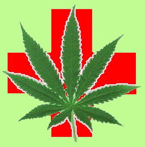 Medical Marijuana: What Indians knew centuries ago... sidebar random buzzing indian news medical marijuana3 Medical Marijuana: What Indians knew centuries ago...