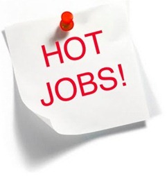 Hot JObs Top 5 hot careers of 2011 12 !