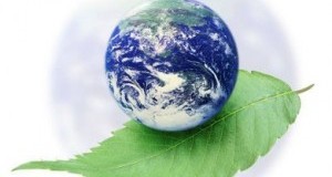 India’s Energy Sector Catches The Fancy Of US