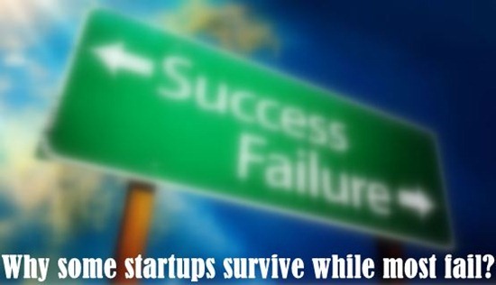 Why some startups survive while most fail? trends startups startup entrepreneurship success failure 001 Why some startups survive while most fail?