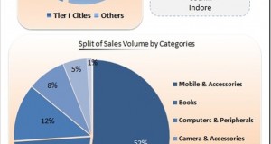 Indian E-Commerce Growth & Trends [Infographic]