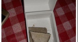 Flipkart delivers 2 stones instead of iPod to a user! What if&hellip;