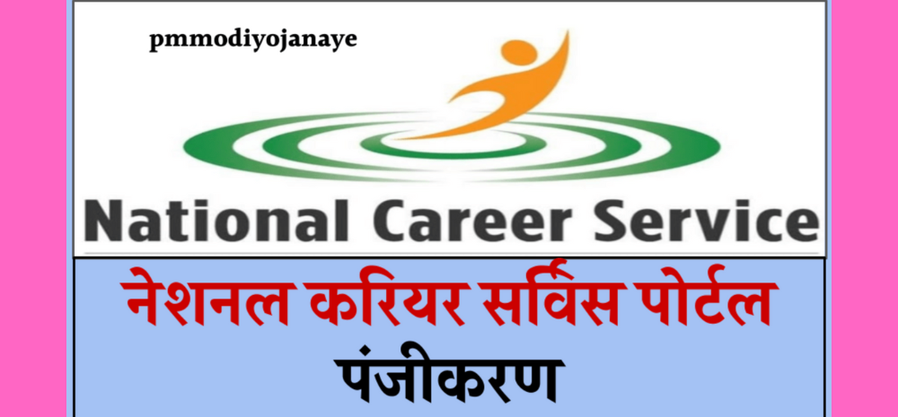 35.7 Lakh Jobs Posted On National Career Service Platform: A New Record Of Job Listings In India!