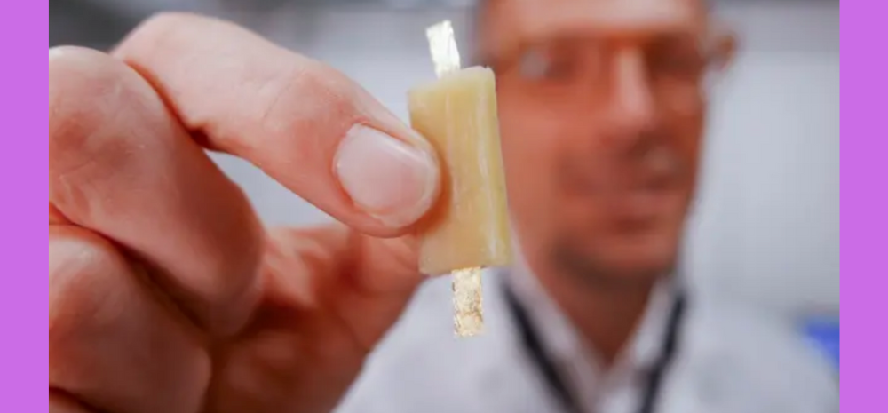 Eat Your Battery! World's 1st Edible Battery Created By These Scientists (How Will It Work?)