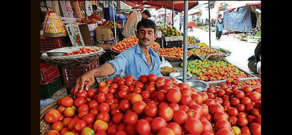 Tomato Price Skyrocket In Karnataka, Maharashtra: Upto 100% Rise Witnessed