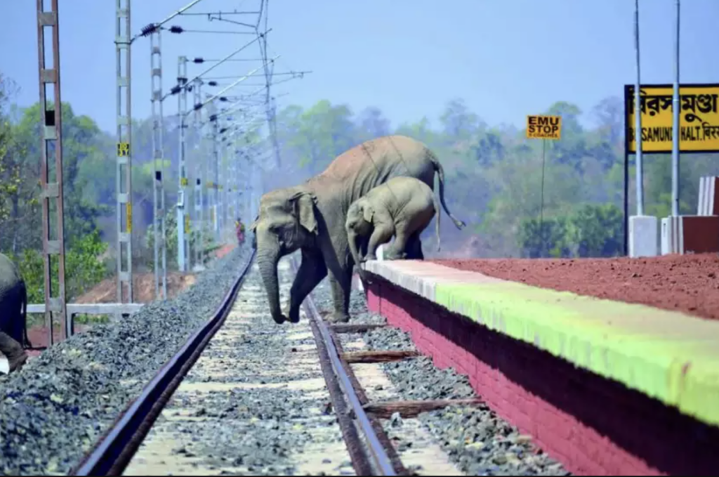 Indian Railways Deploy AI To Protect Elephants On Tracks - Trak.in ...