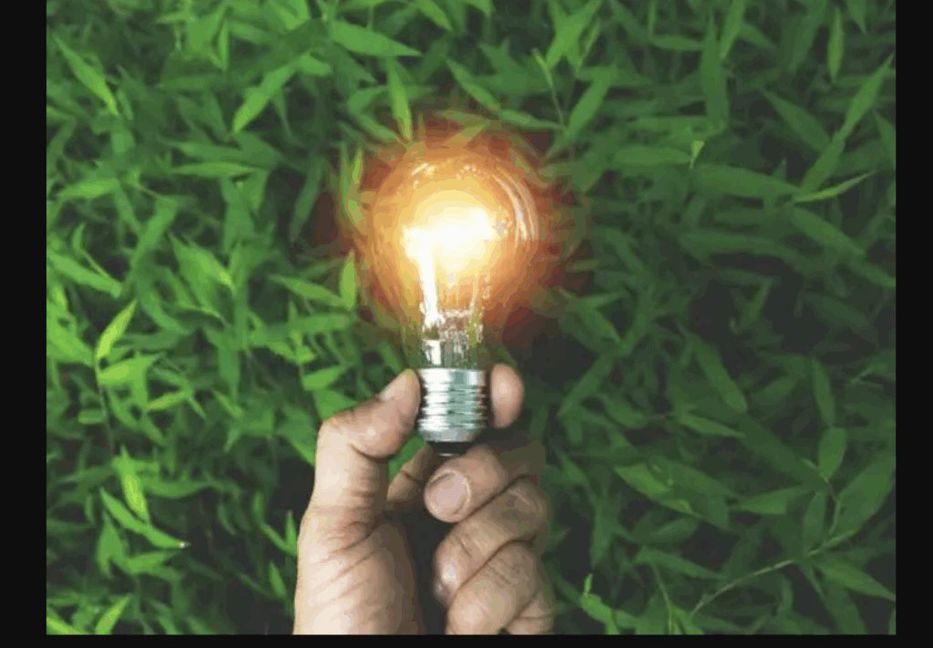 Eligible Maharashtra Families Will Get Free Electricity For 25 Years