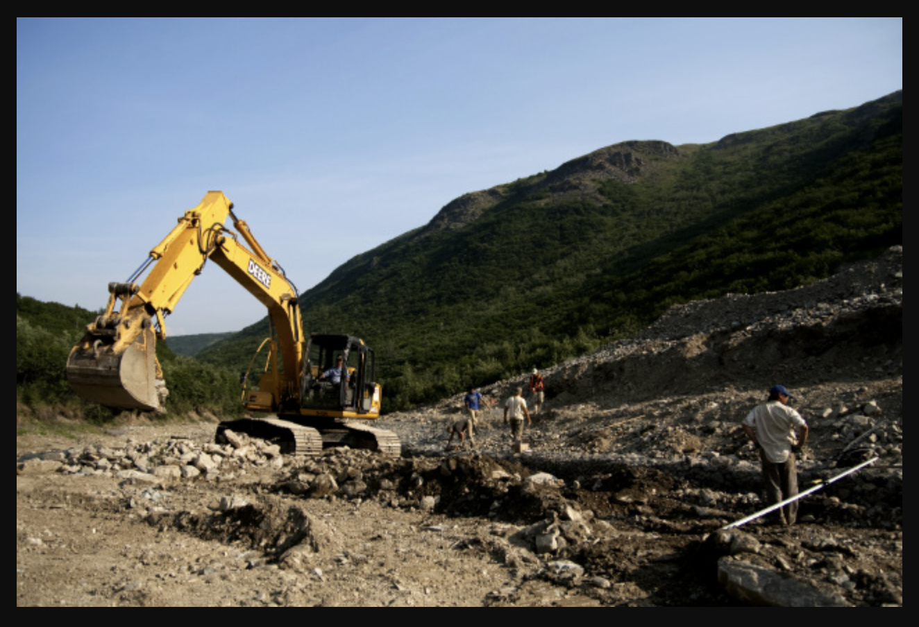 Mining Is Banned Inside & Within 1 Km Radius Of National Parks, Wildlife Sanctuaries