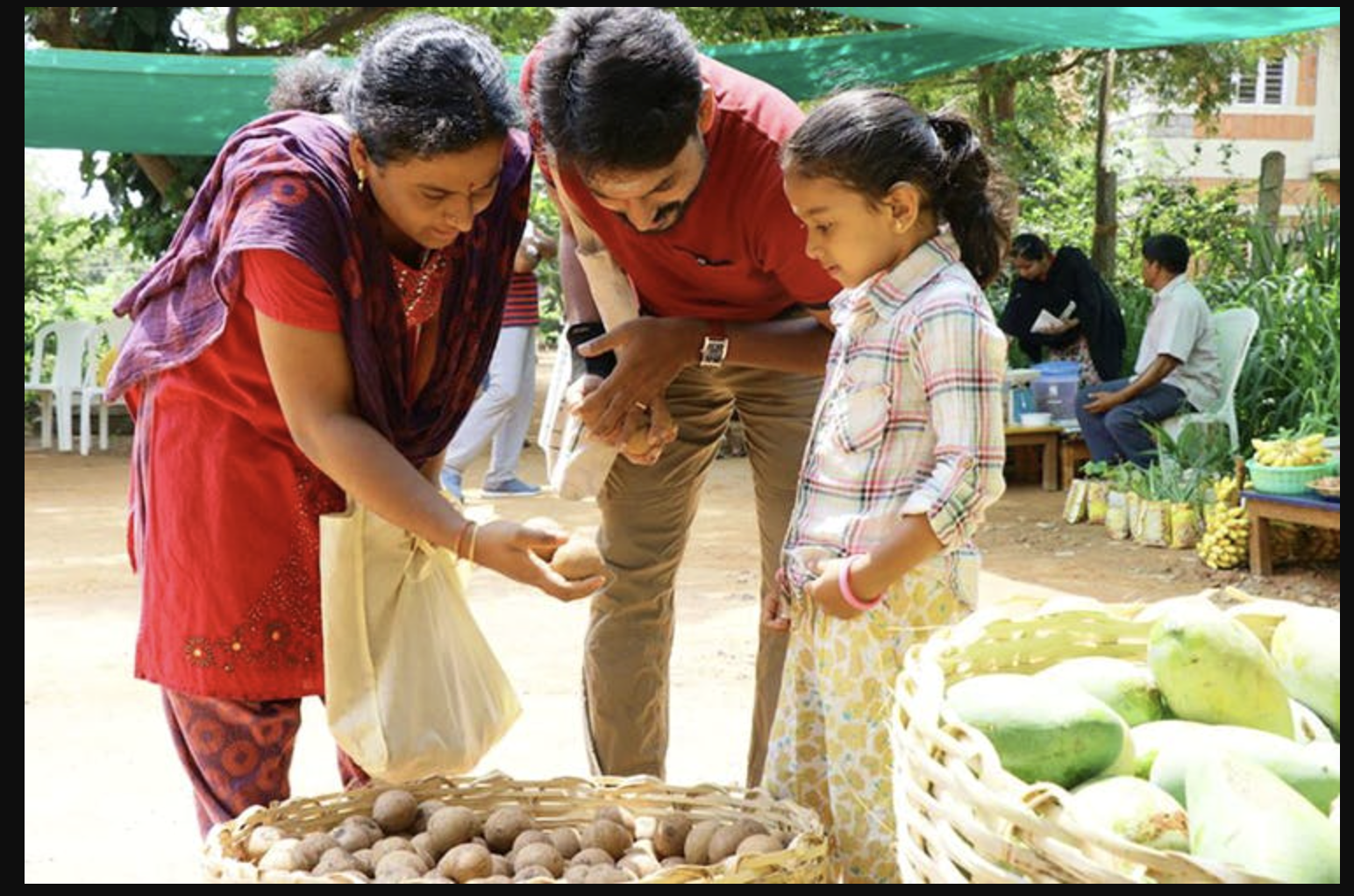 26% Vegetables Sampled In Bengaluru Has Lead Contamination