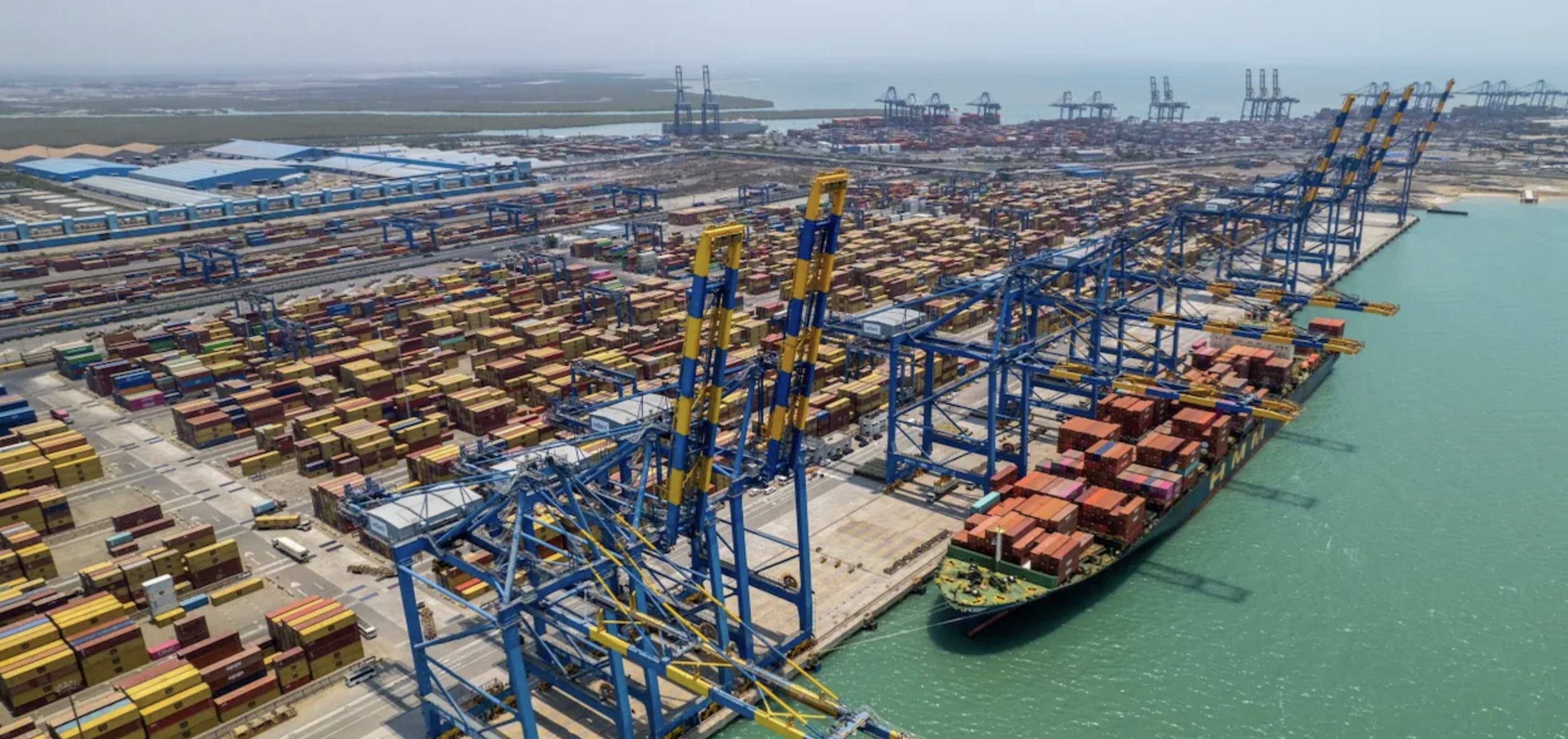 Maharashtra Planning World's Largest Vegetable Market: 1200 Acress, Near Vadhvan Port