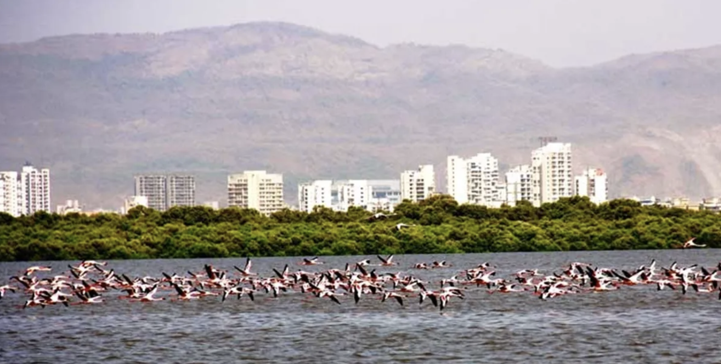 Rs 723 Crore To Be Spent On New Bridge Over Thane Creek; Travel Time To Drop To 30 Mins