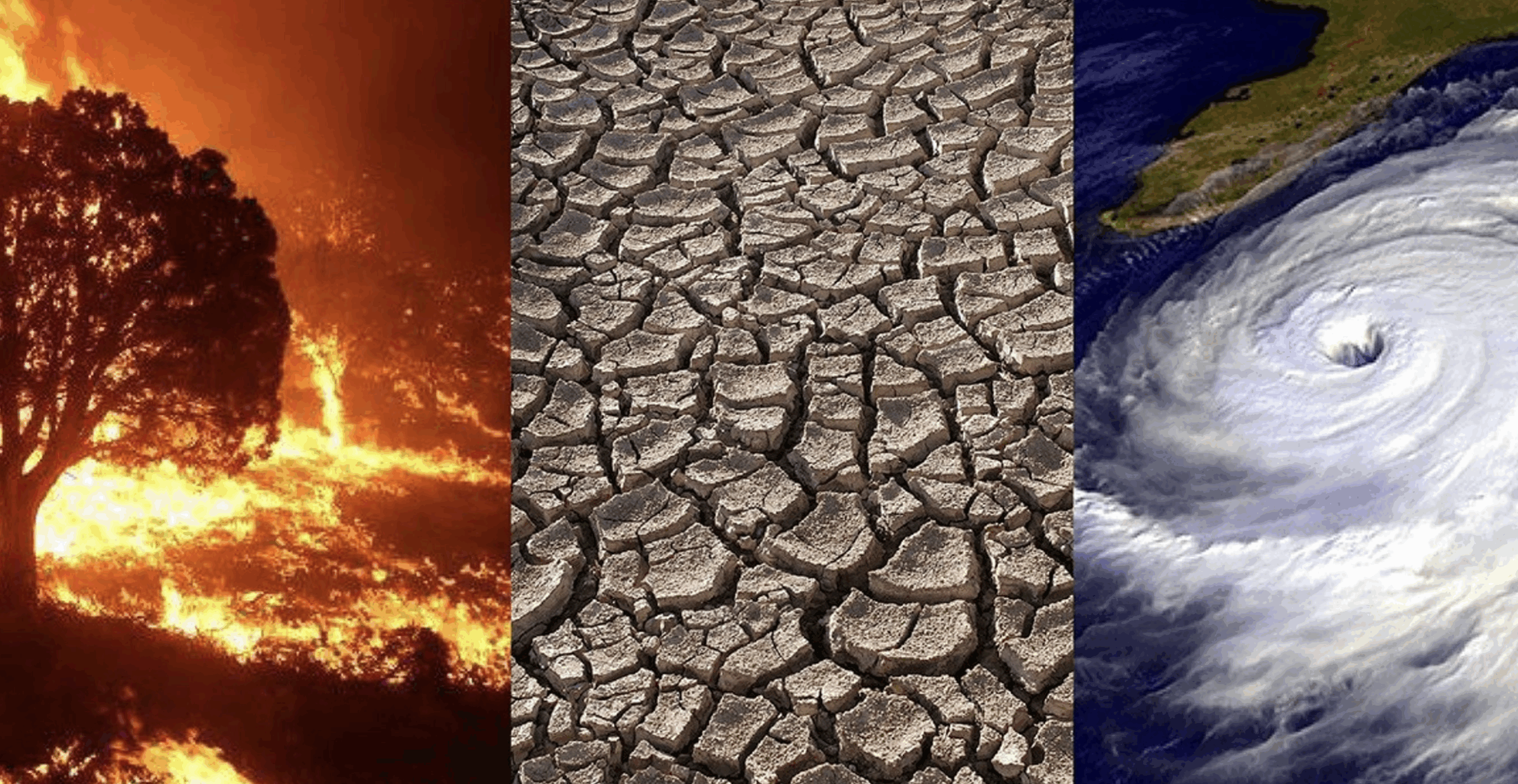 Global Warming Accelerating A Dangerous Pace, Warns Scientist
