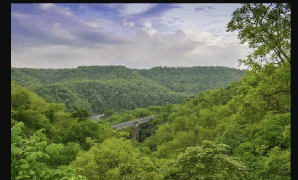 1.4 Lakh Trees To Be Cut For Enhancing Indore-Mumbai Rail Route