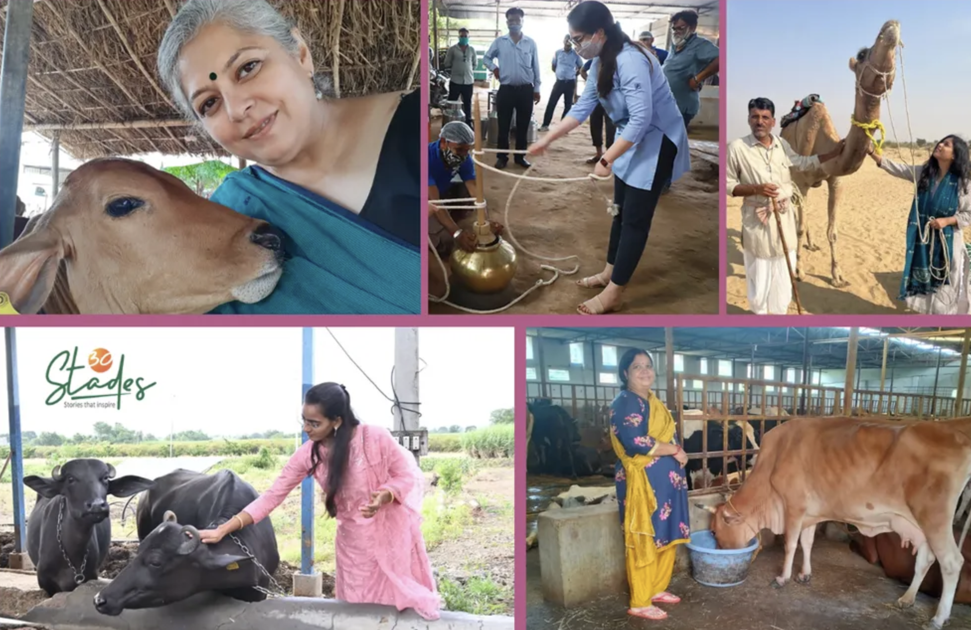 73,000 Women In UP Become Lakhpatis By Becoming Dairy Entrepreneurs