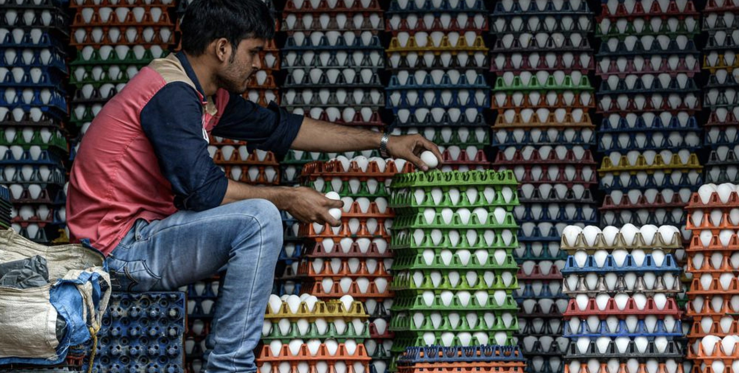 Due To Govt's Ethanol Push, Egg Prices Jump 40% In 12 Months