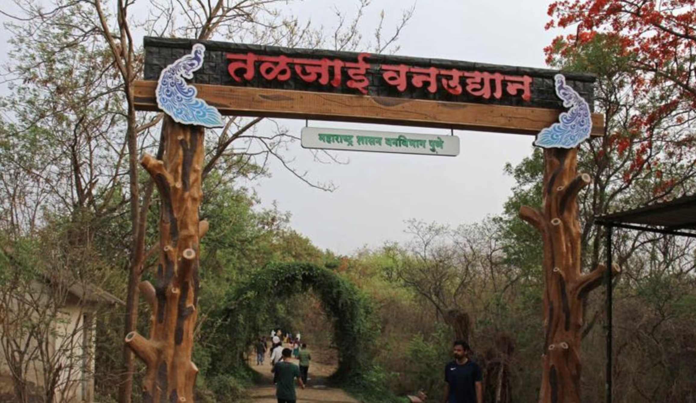 Sinhagad Road To Be Linked With Satara Road Via Taljai Hill Tunnel