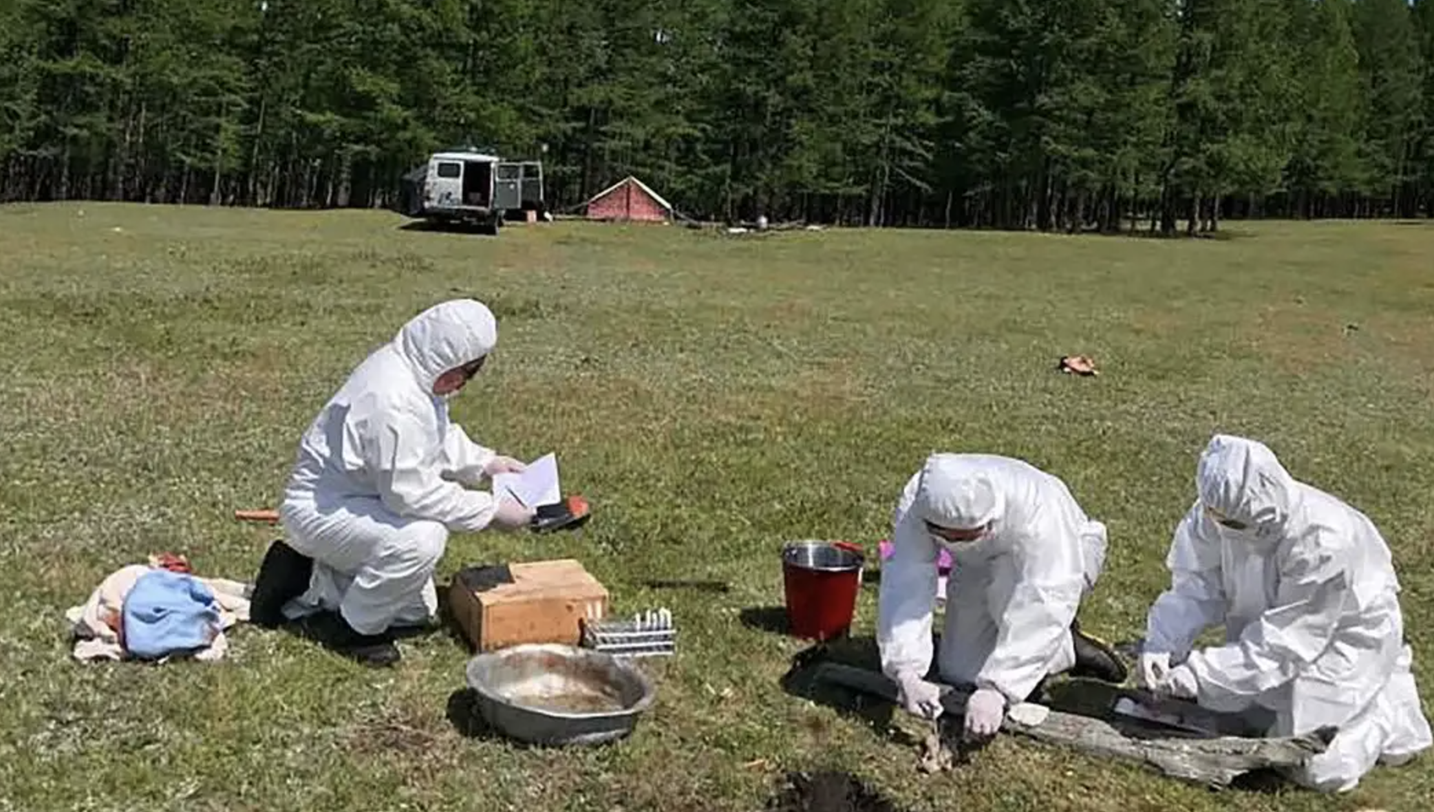 Russia Plague Scare: Lab Worker Dies, 200 Under Quanrantine