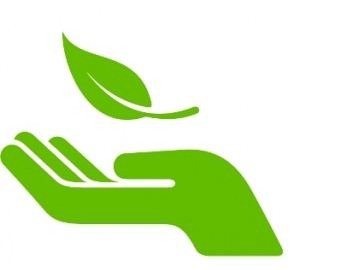 green-companies