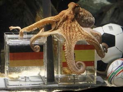 paul-octopus