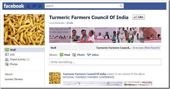 Facebook Turmeric Council