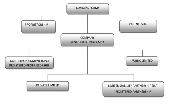 Which Type Of Business Should You Incorporate? LLC, OPC, Pvt. Ltd or Others?