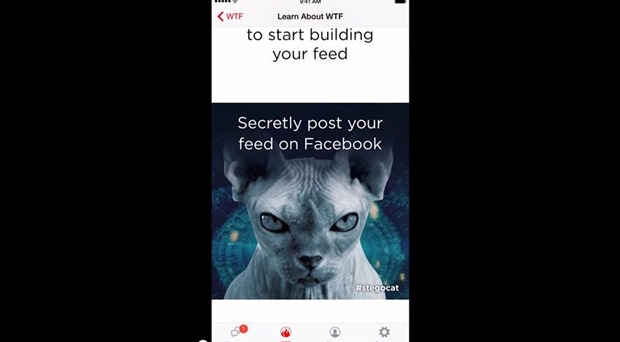 Wickr WTF, A Messaging App That Keeps Your Social Photos Private With Cat Pics