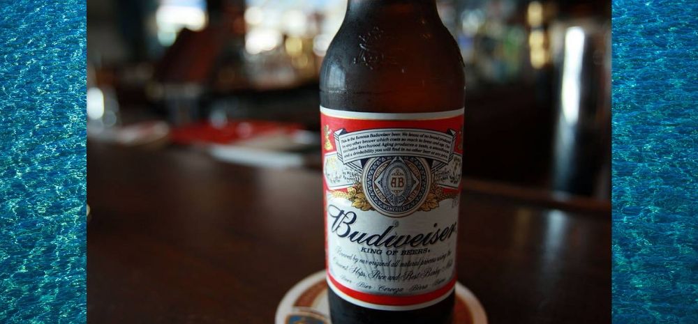 Budweiser Beer banned in Delhi for 3 years
