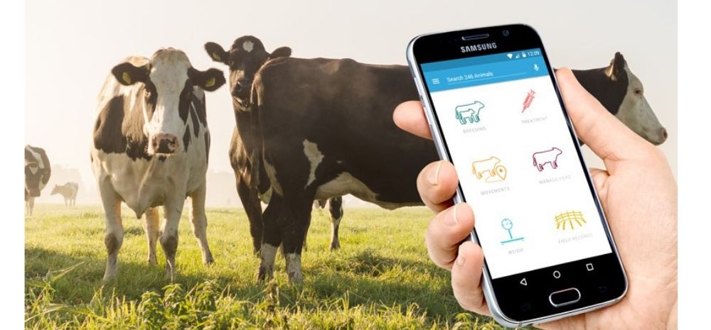 Smart-farming technology in dairy farming