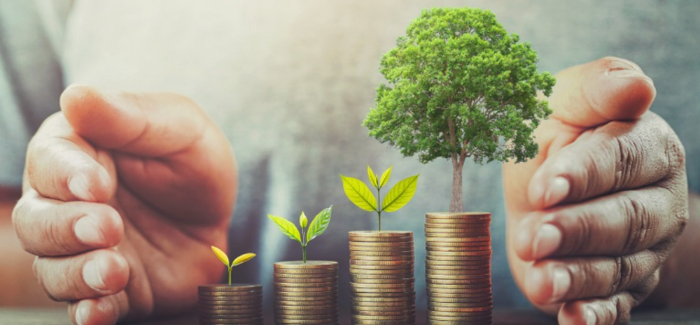 5 Steps to Green Investing Every Entrepreneur and Investor Should Know