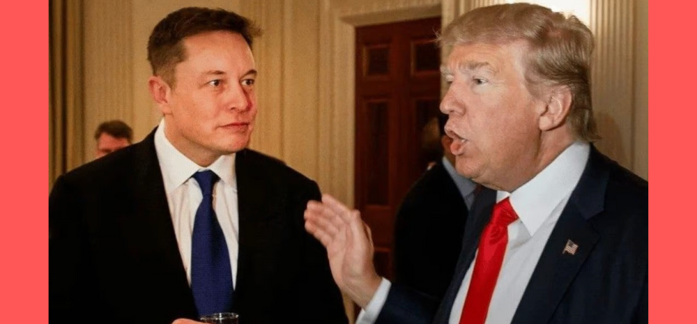 Elon Musk Restores Donald Trump's Twitter Account After 'Poll Results'